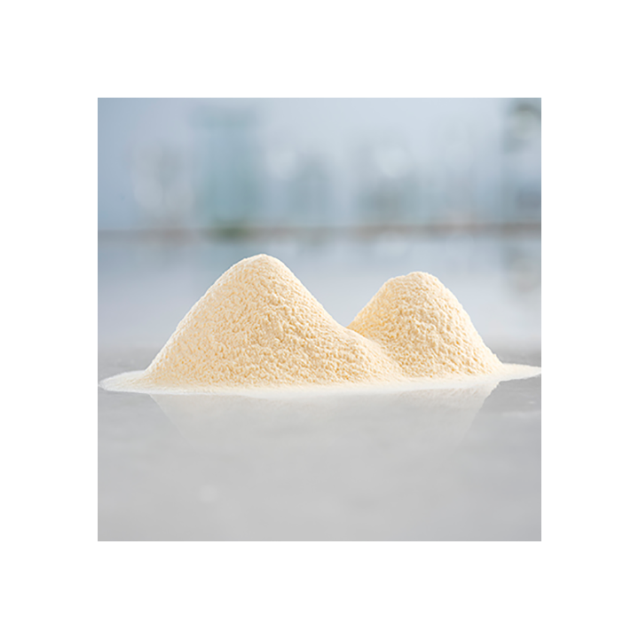 Milk Powder PROTELAC® 400 - (0.5kg)